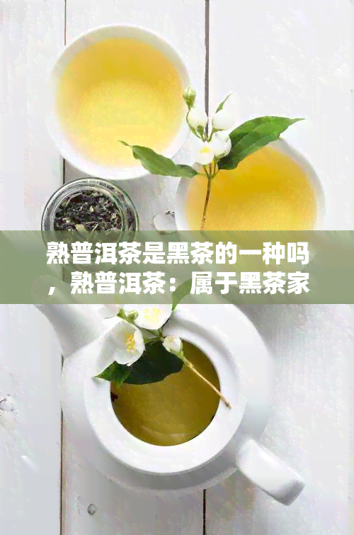 熟普洱茶是黑茶的一种吗，熟普洱茶：属于黑茶家族的一员吗？