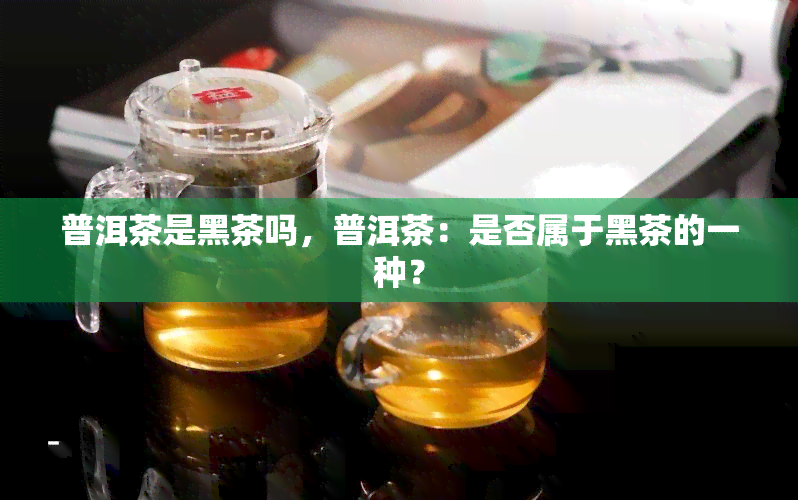 普洱茶是黑茶吗，普洱茶：是否属于黑茶的一种？