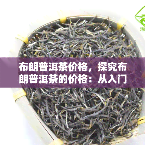 布朗普洱茶价格，探究布朗普洱茶的价格：从入门级到高端品的全面分析