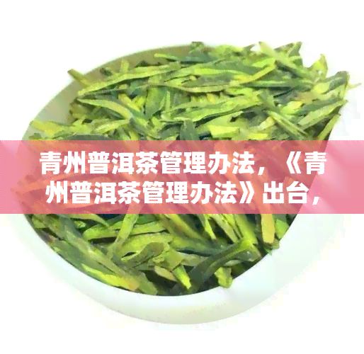 青州普洱茶管理办法，《青州普洱茶管理办法》出台，规普洱茶市场秩序