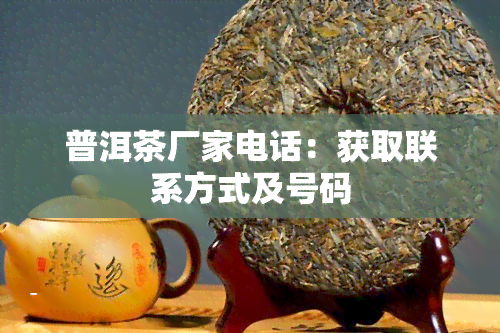 普洱茶厂家电话：获取联系方式及号码