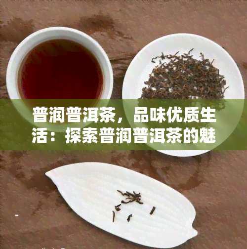 普润普洱茶，品味优质生活：探索普润普洱茶的魅力