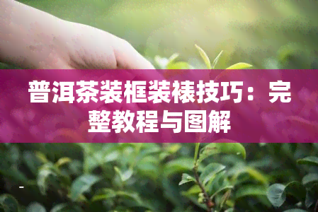 普洱茶装框装裱技巧：完整教程与图解