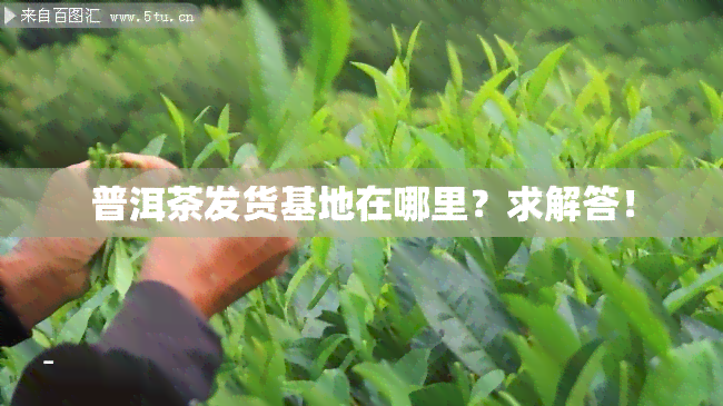 普洱茶发货基地在哪里？求解答！