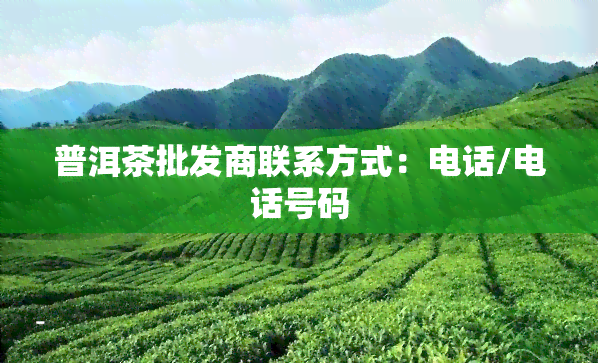 普洱茶批发商联系方式：电话/电话号码