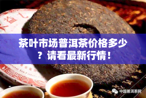 茶叶市场普洱茶价格多少？请看最新行情！