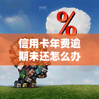 信用卡年费逾期未还怎么办，信用卡年费逾期未还的解决方案