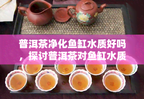 普洱茶净化鱼缸水质好吗，探讨普洱茶对鱼缸水质的净化效果