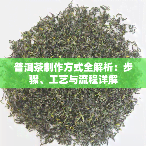 普洱茶制作方式全解析：步骤、工艺与流程详解