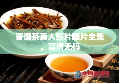 普洱茶真人照片图片全集，高清 *** 