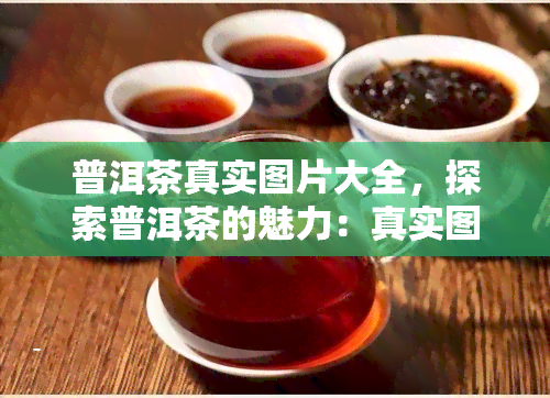 普洱茶真实图片大全，探索普洱茶的魅力：真实图片大全揭示独特韵味！