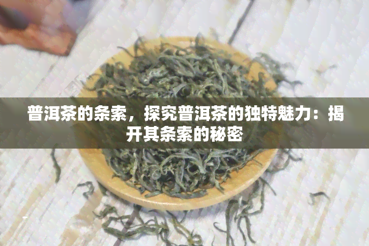 普洱茶的条索，探究普洱茶的独特魅力：揭开其条索的秘密