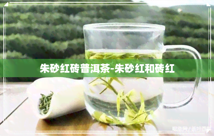 朱砂红砖普洱茶-朱砂红和砖红