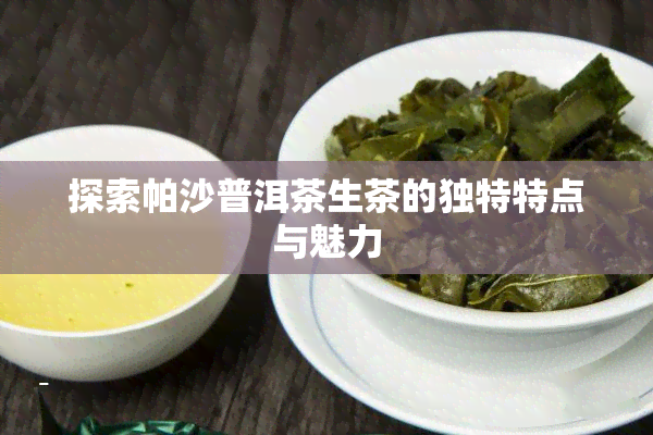 探索帕沙普洱茶生茶的独特特点与魅力