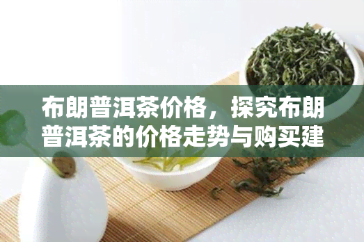 布朗普洱茶价格，探究布朗普洱茶的价格走势与购买建议