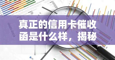 真正的信用卡函是什么样，揭秘真正的信用卡函：你必须知道的要点