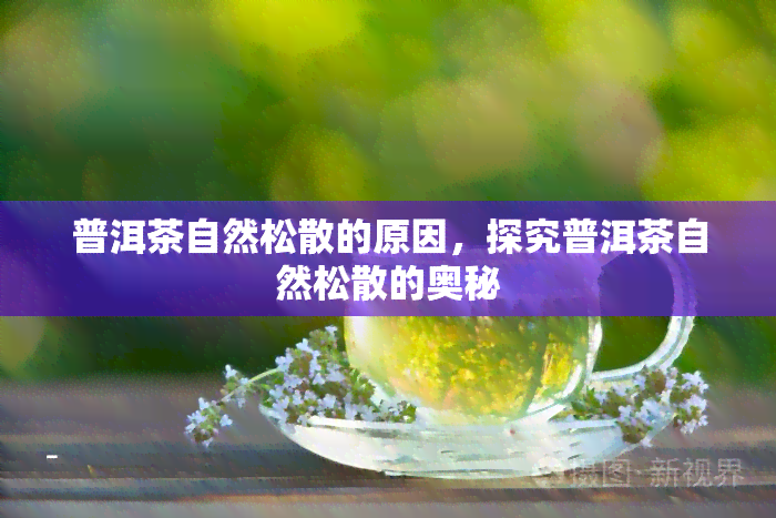 普洱茶自然松散的原因，探究普洱茶自然松散的奥秘