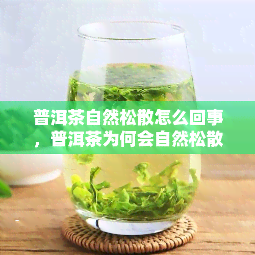 普洱茶自然松散怎么回事，普洱茶为何会自然松散？原因解析