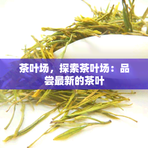 茶叶场，探索茶叶场：品尝最新的茶叶