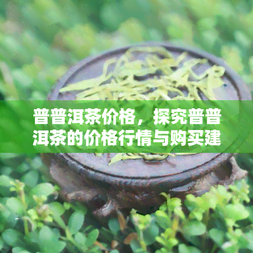 普普洱茶价格，探究普普洱茶的价格行情与购买建议