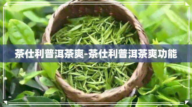 茶仕利普洱茶爽-茶仕利普洱茶爽功能