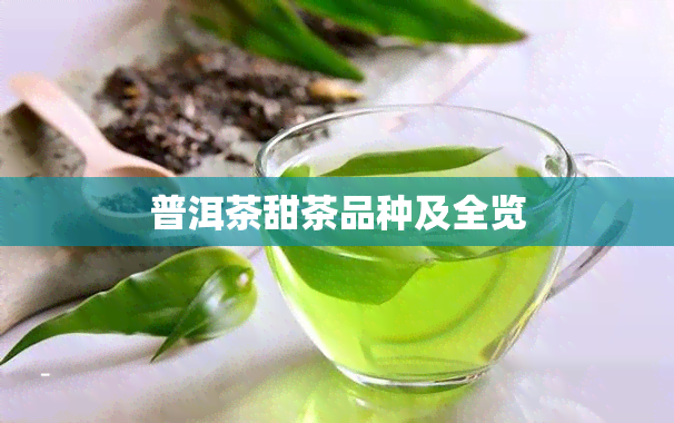 普洱茶甜茶品种及全览