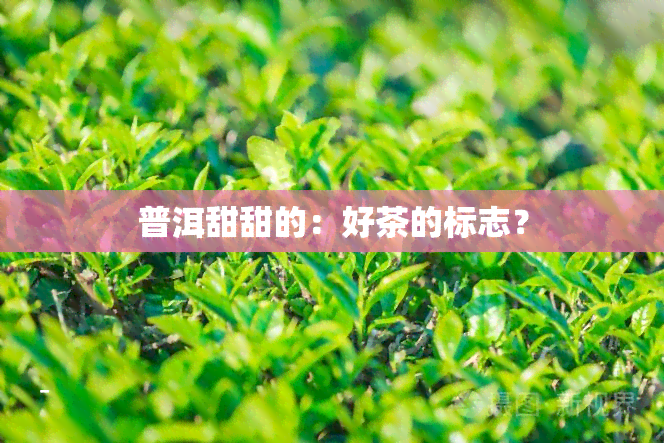 普洱甜甜的：好茶的标志？