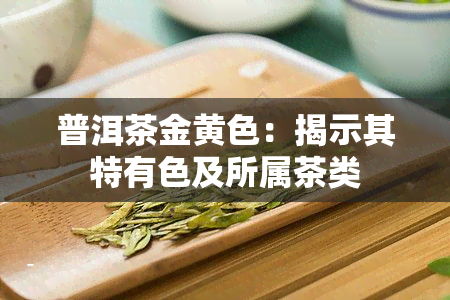 普洱茶金黄色：揭示其特有色及所属茶类