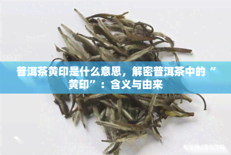 普洱茶黄印是什么意思，解密普洱茶中的“黄印”：含义与由来