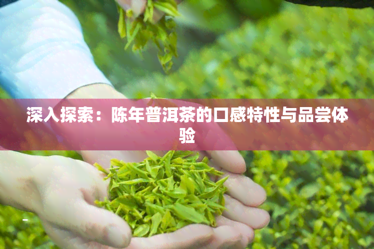 深入探索：陈年普洱茶的口感特性与品尝体验