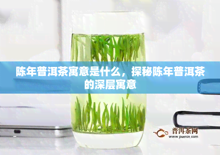 陈年普洱茶寓意是什么，探秘陈年普洱茶的深层寓意