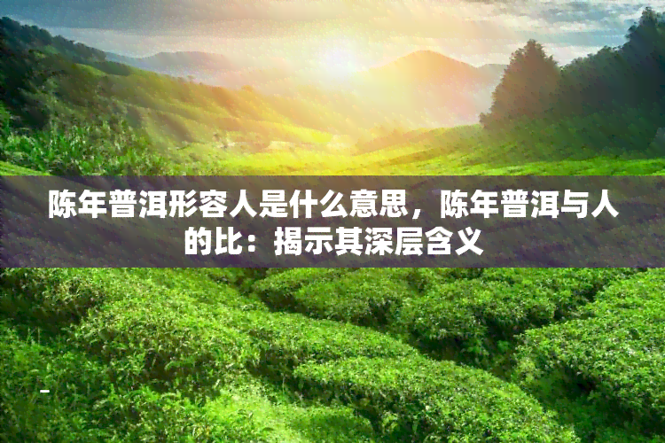 陈年普洱形容人是什么意思，陈年普洱与人的比：揭示其深层含义