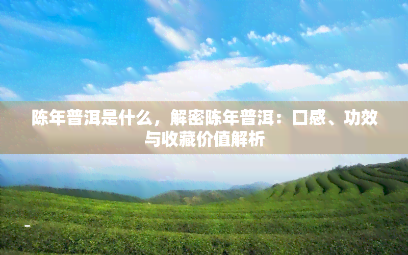 陈年普洱是什么，解密陈年普洱：口感、功效与收藏价值解析