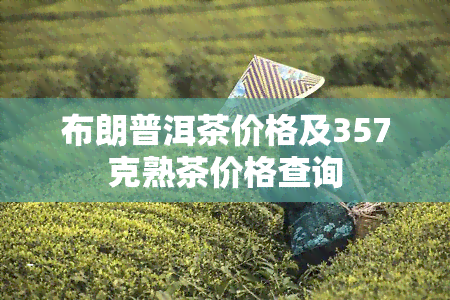 布朗普洱茶价格及357克熟茶价格查询