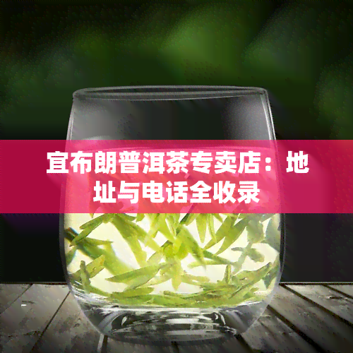 宜布朗普洱茶专卖店：地址与电话全收录