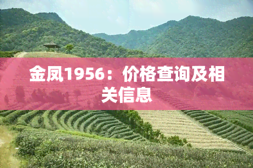 金凤1956：价格查询及相关信息