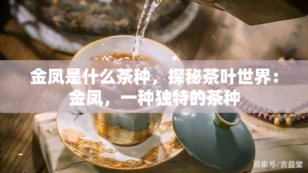 金凤是什么茶种，探秘茶叶世界：金凤，一种独特的茶种