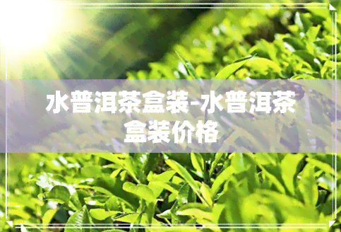 水普洱茶盒装-水普洱茶盒装价格