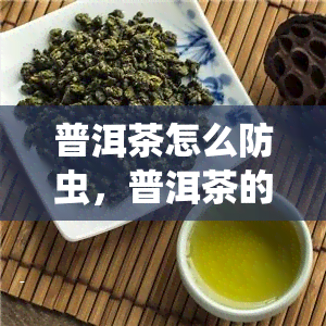 普洱茶怎么防虫，普洱茶的防虫妙招，让你的茶叶保存更长久！