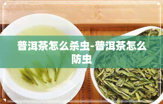 普洱茶怎么杀虫-普洱茶怎么防虫