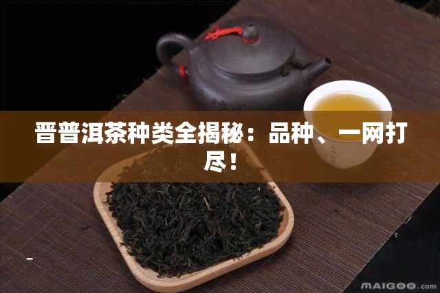 晋普洱茶种类全揭秘：品种、一网打尽！