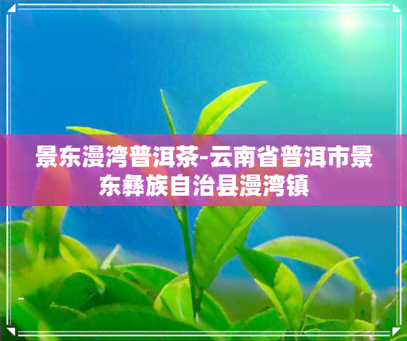 景东漫湾普洱茶-云南省普洱市景东彝族自治县漫湾镇