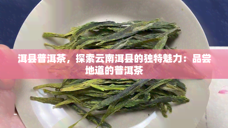 洱县普洱茶，探索云南洱县的独特魅力：品尝地道的普洱茶