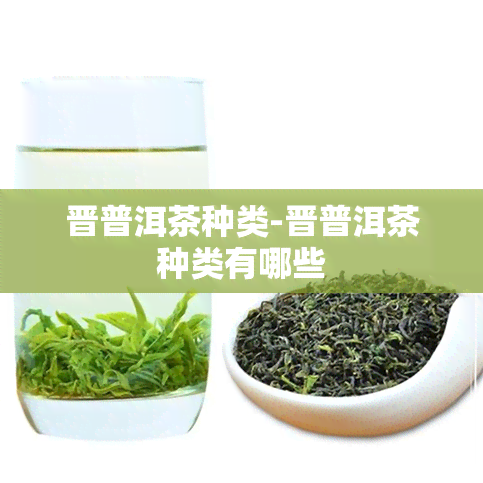 晋普洱茶种类-晋普洱茶种类有哪些