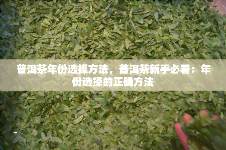 普洱茶年份选择方法，普洱茶新手必看：年份选择的正确方法