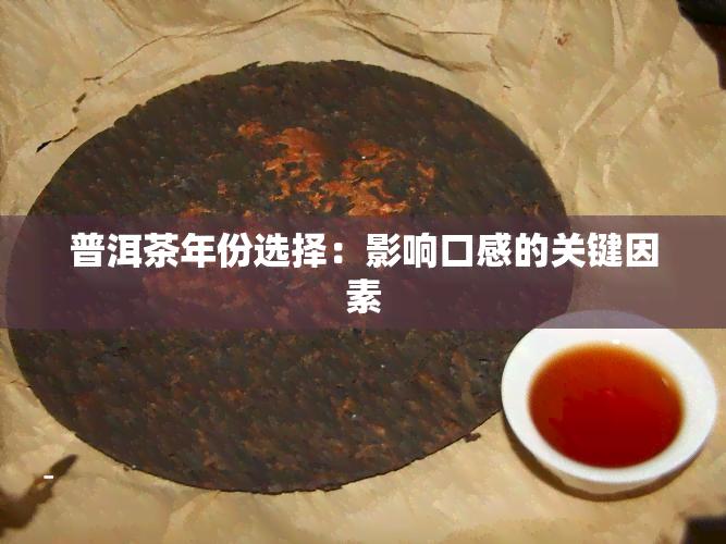 普洱茶年份选择：影响口感的关键因素