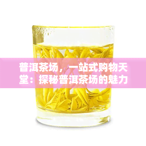 普洱茶场，一站式购物天堂：探秘普洱茶场的魅力与商机