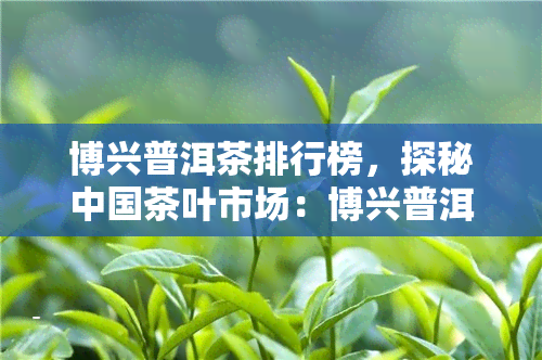 博兴普洱茶排行榜，探秘中国茶叶市场：博兴普洱茶排行榜揭晓