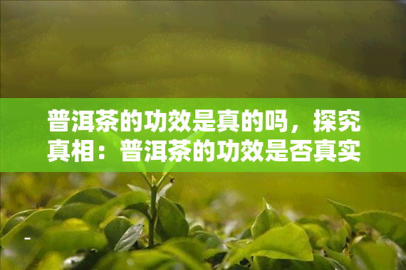 普洱茶的功效是真的吗，探究真相：普洱茶的功效是否真实存在？