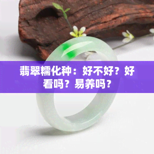 翡翠糯化种：好不好？好看吗？易养吗？